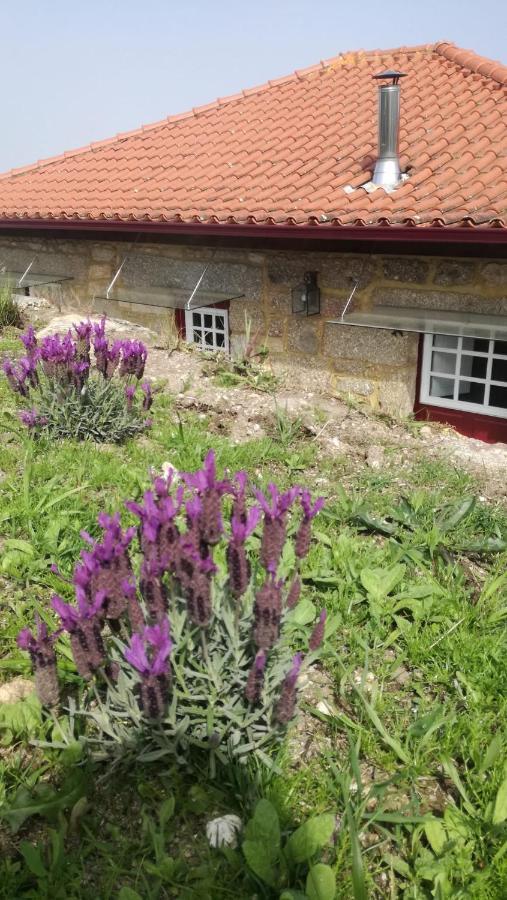 Casa Do Rancho - Turismo Rural Paranhos  Exterior photo